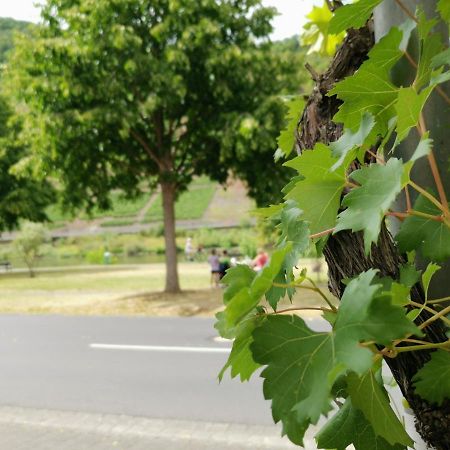 Ferienwohnung Moselblick Bruttig-Fankel Dış mekan fotoğraf