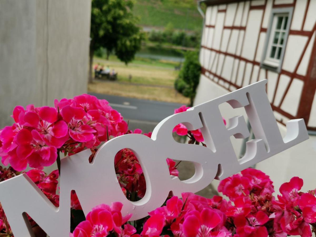Ferienwohnung Moselblick Bruttig-Fankel Dış mekan fotoğraf
