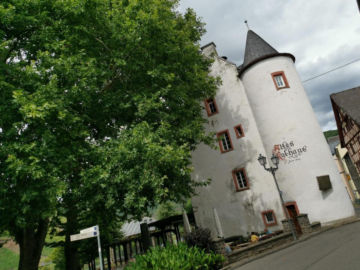 Ferienwohnung Moselblick Bruttig-Fankel Dış mekan fotoğraf