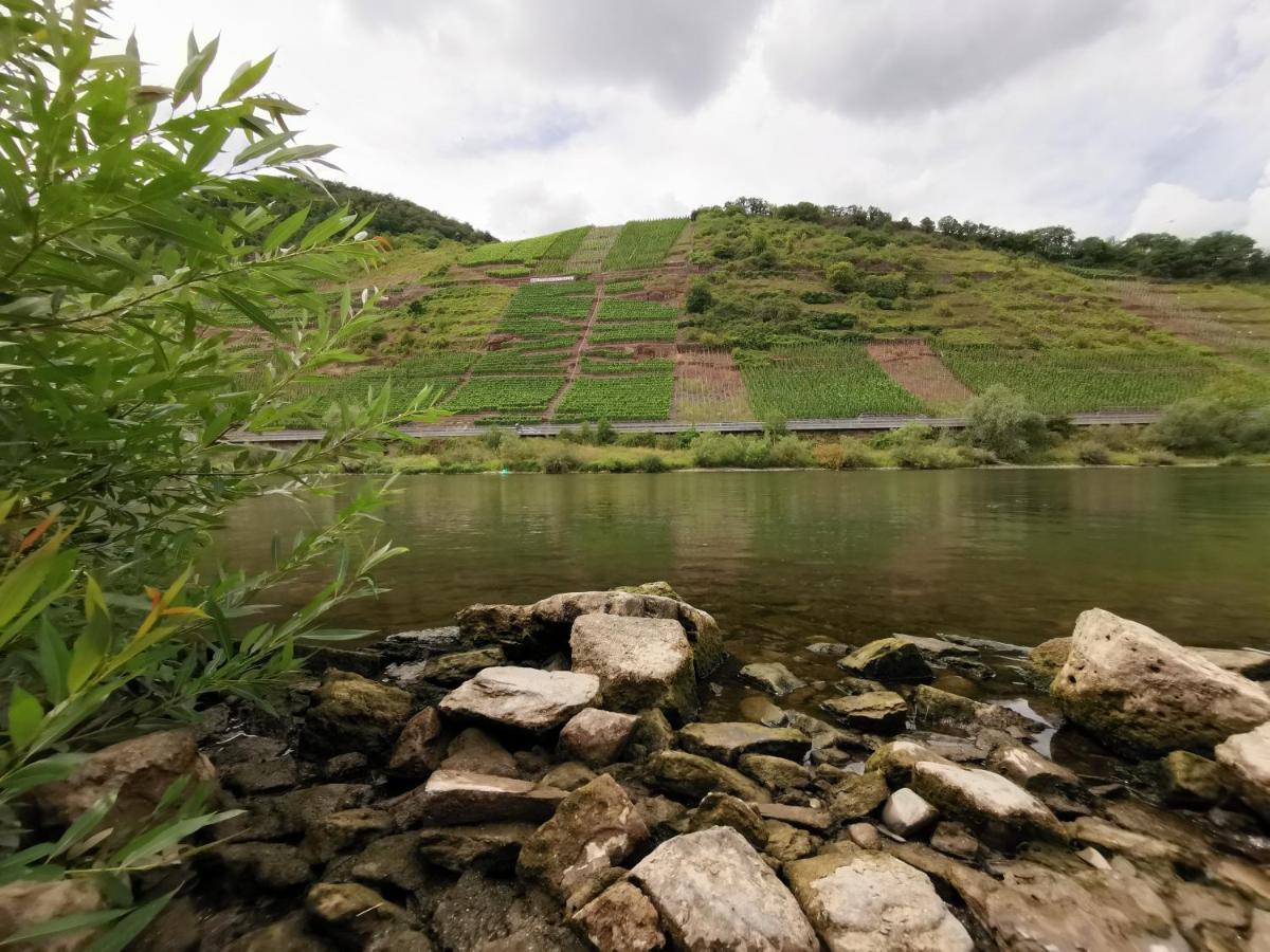 Ferienwohnung Moselblick Bruttig-Fankel Dış mekan fotoğraf